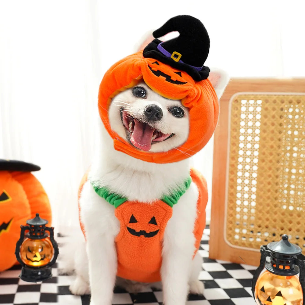 Jack-O-Pooch - Halloween Dog Costume Set