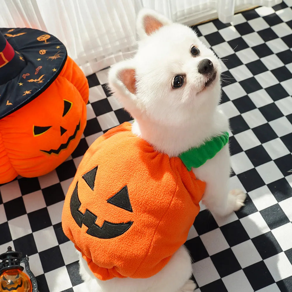 Jack-O-Pooch - Halloween Dog Costume Set