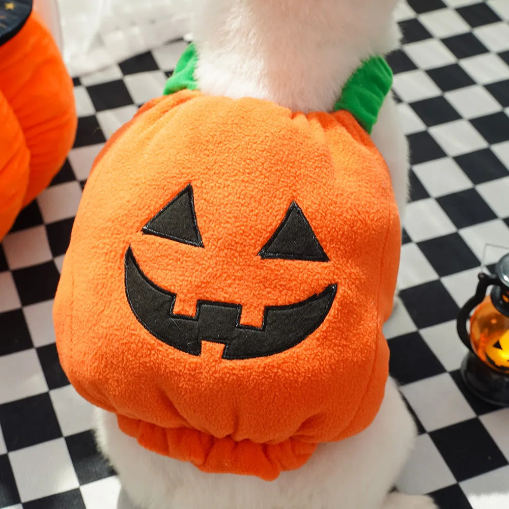 Jack-O-Pooch - Halloween Dog Costume Set