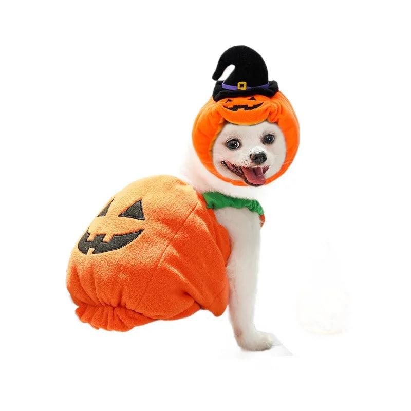 Jack-O-Pooch - Halloween Dog Costume Set