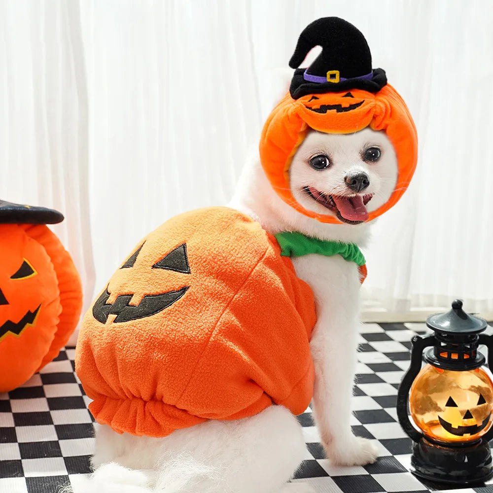 Jack-O-Pooch - Halloween Dog Costume Set